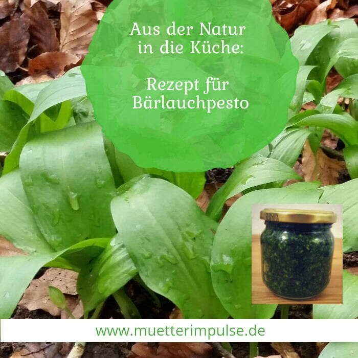 BÃ¤rlauchpesto, BÃ¤rlauchbutter, Rezept, BÃ¤rlauch